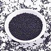 MIYUKI Round Rocailles Beads SEED-X0054-RR2061-2