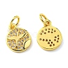 Rack Plating Brass Micro Pave Cubic Zirconia Charms KK-D036-04G-1