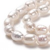 Natural Cultured Freshwater Pearl Beads Strands PEAR-L033-65-2