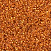 MIYUKI Delica Beads X-SEED-J020-DB0681-3