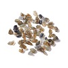 Natural Labradorite Chip Beads G-M364-15-1