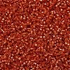 MIYUKI Delica Beads X-SEED-J020-DB2158-3