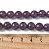 Natural Amethyst Beads Strands G-M445-8MM-01D-6