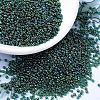 MIYUKI Round Rocailles Beads SEED-X0054-RR0289-1