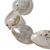 Natural Labradorite Beads Strands G-I377-A21-4
