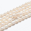 Natural Cultured Freshwater Pearl Strands A23WM011-01-5