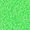MIYUKI Delica Beads SEED-MY11-DB2040-2
