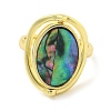 Natural Paua Shell Oval Open Cuff Ring RJEW-H220-05G-2