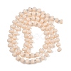 Opaque Glass Beads Strands GLAA-P076-01C-06-2