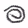 Natural Snowflake Obsidian Beads Strands G-D0002-D60-2