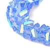 Transparent Glass Beads Strands EGLA-P061-04B-AB01-3
