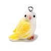 Flocky Resin Pendants RESI-Q011-03A-1