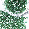 FGB Grade A Glass Seed Beads SEED-S022-04A-18-1
