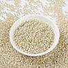 MIYUKI Round Rocailles Beads X-SEED-G008-RR0577-3