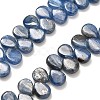 Natural Kyanite Beads Strands G-H335-E01-7x10mm-1