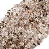 Natural Lodolite Quartz Beads Strands G-H315-A02-01-2