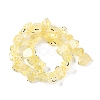 Transparent Glass Enamel Beads Strands GLAA-B021-05C-2