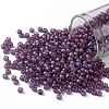 TOHO 8/0 Round Beads X-SEED-TR08-0625F-1