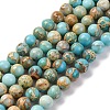 Dyed Natural Regalite/Imperial Jasper/Sea Sediment Jasper Beads Strands G-B124-C02-03-1