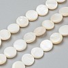 Natural Freshwater Shell Beads X-BSHE-I011-01D-02-1