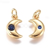 Brass Micro Pave Cubic Zirconia Charms ZIRC-G168-56G-03-2