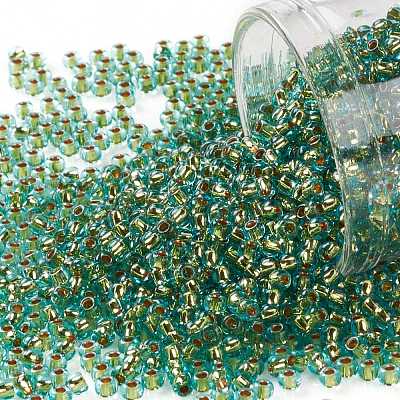 TOHO Round Seed Beads SEED-JPTR11-0755-1