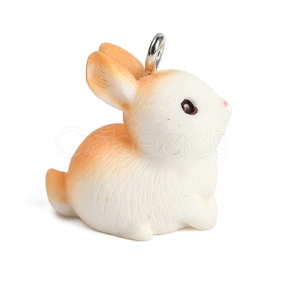 Cute Opaque Resin Pendants RESI-R458-05F-1