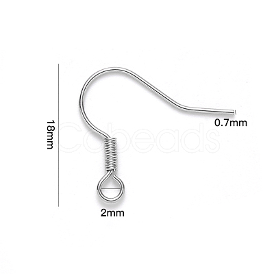 Tarnish Resistant 304 Stainless Steel Earring Hooks STAS-S111-002-1