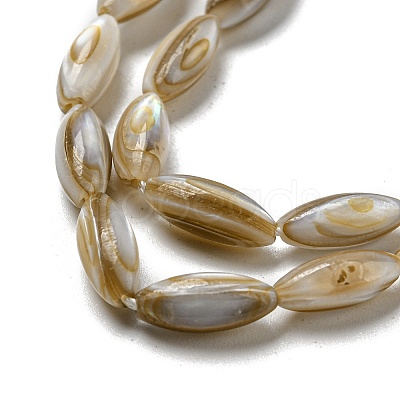 Natural Freshwater Shell Beads Strands SHEL-C005-04-1