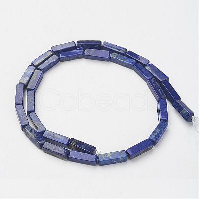 Natural Lapis Lazuli Beads Strands G-G968-D03-1