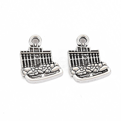 Tibetan Style Alloy Charms LS-TIBEP-N011-016-1