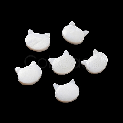 Natural Freshwater Shell Beads SHEL-H003-04-1