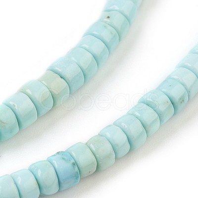 Natural Magnesite Beads Strands G-P398-F-1