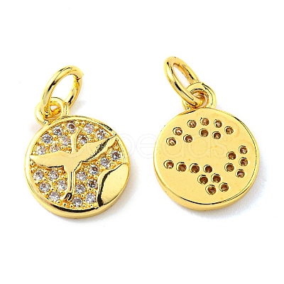 Rack Plating Brass Micro Pave Cubic Zirconia Charms KK-D036-04G-1