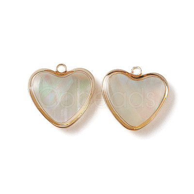 Shell Charms SHEL-CJC0001-01-1
