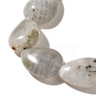 Natural Labradorite Beads Strands G-I377-A21-1