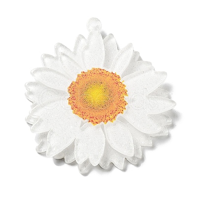 Printed Transparent Acrylic Pendants LS-SACR-P029-B01-1
