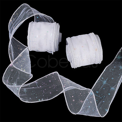 Polyester Deco Mesh Ribbons OCOR-TAC0024-004E-1