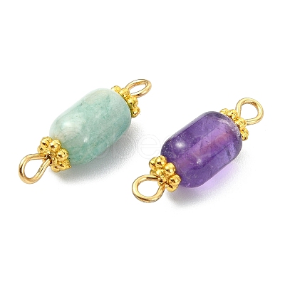 Natural Gemstone Connector Charms PALLOY-JF05820-1