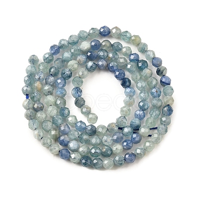 Natural Kyanite/Cyanite/Disthene Beads Strands G-G259-D04-3mm-1
