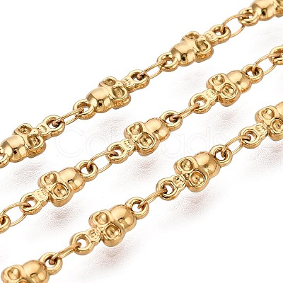 5M 304 Stainless Steel Skull Link Chains CHS-T071-42G-1