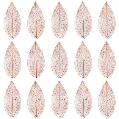 100Pcs Dried Flower Leaf Craft Supplies AJEW-CP0009-41C-1