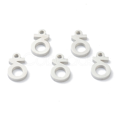 Non-Tarnish 304 Stainless Steel Charms STAS-G244-01D-1