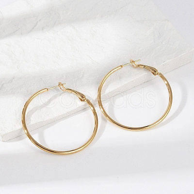 201 Stainless Steel Hoop Earrings EJEW-F188-24G-B-1