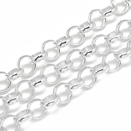 3.28 Feet Unwelded Aluminum Rolo Chains X-CHA-S001-078-1