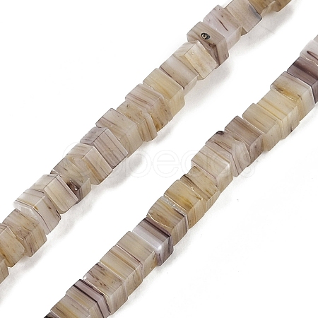 Handmade Lampwork Beads Strands LAMP-Q037-02A-05-1
