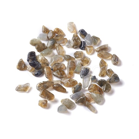 Natural Labradorite Chip Beads G-M364-15-1