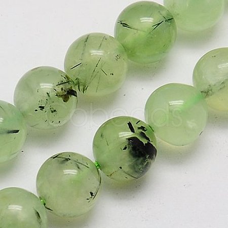 Natural Prehnite Beads Strands G-G457-10mm-03-1