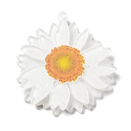 Printed Transparent Acrylic Pendants LS-SACR-P029-B01-1
