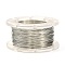 Round Copper Craft Wire, for Jewelry Making, Long-Lasting Plated, Platinum, 26 Gauge, 0.4mm, about 65.61 Feet(20m)/roll